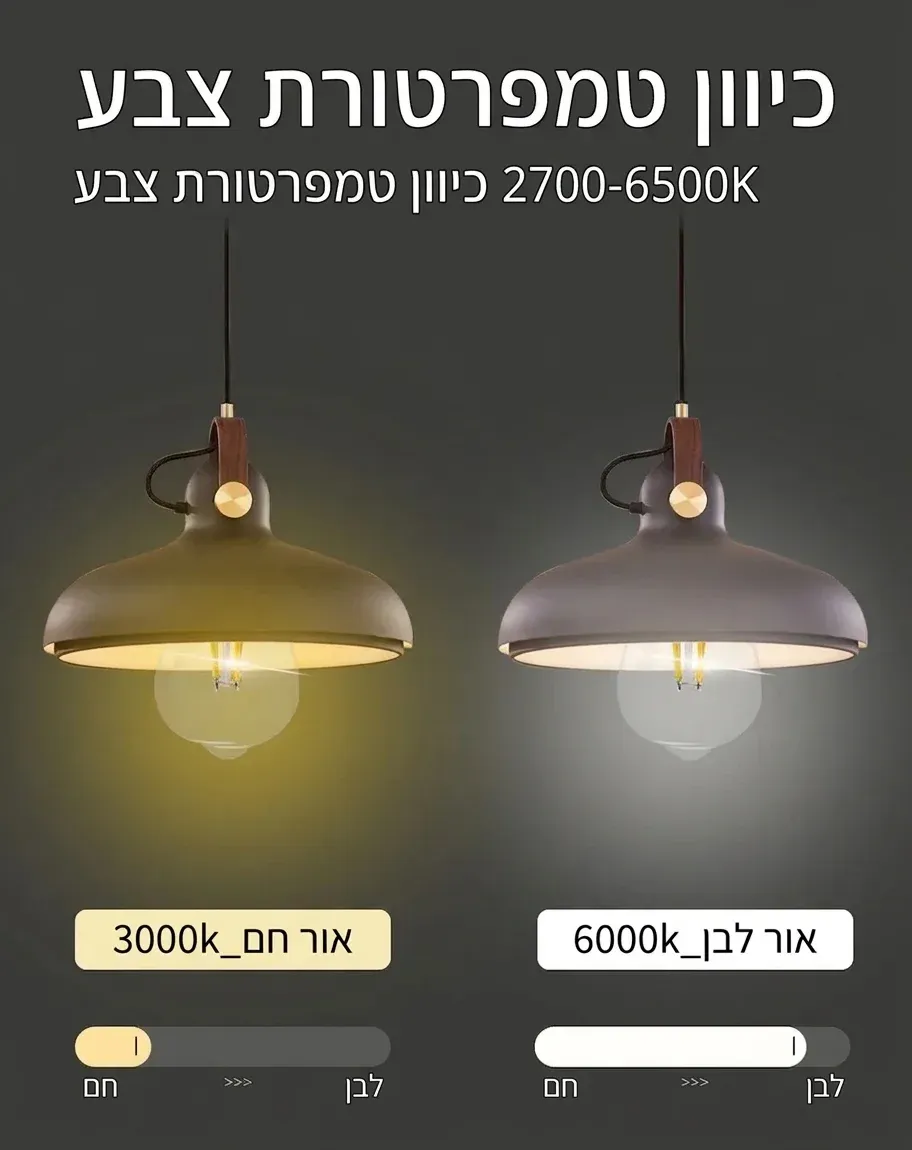 מנורת תלייה עם נורת לד חכמה פילמנט