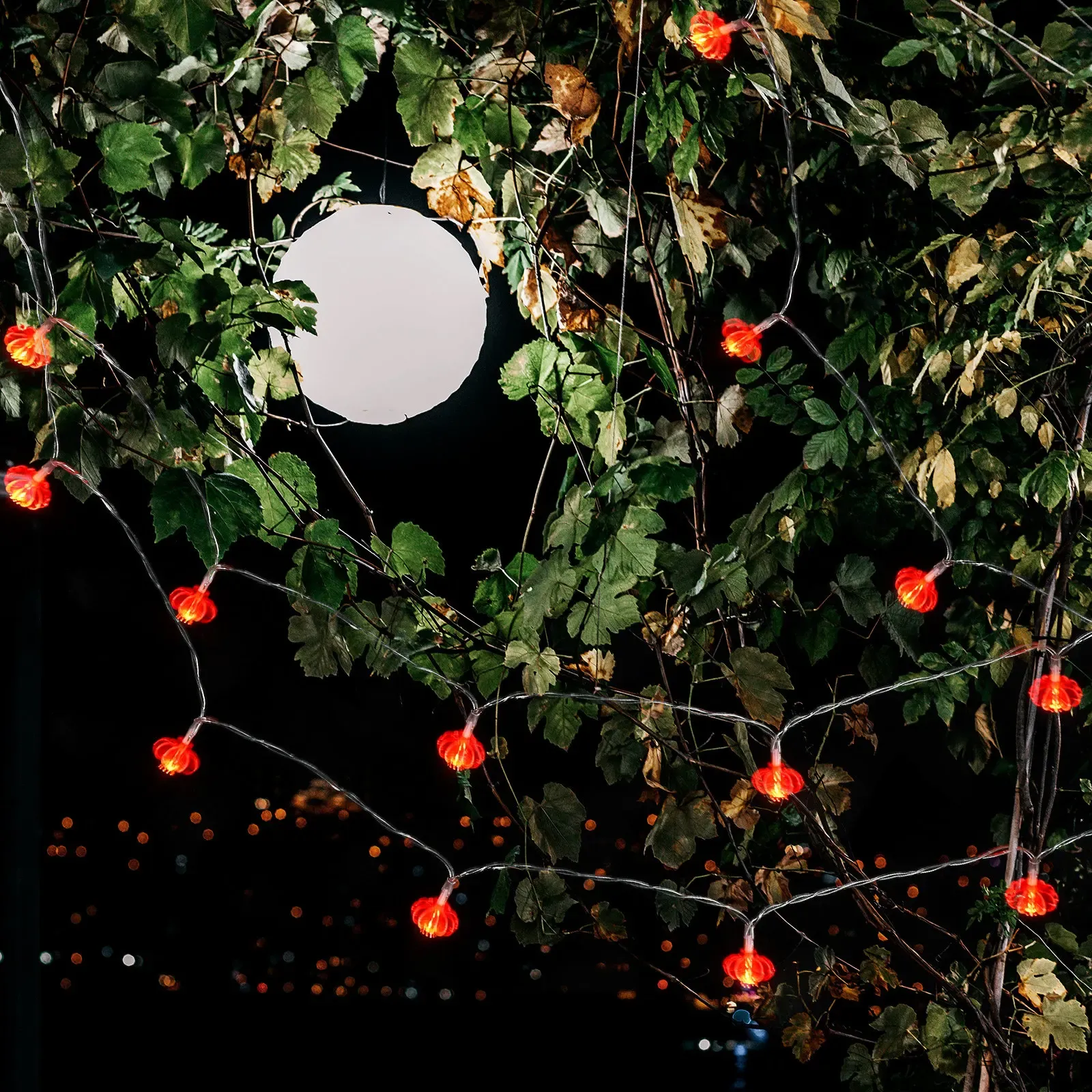 שרשרת פנסים סינית אדומה לחג