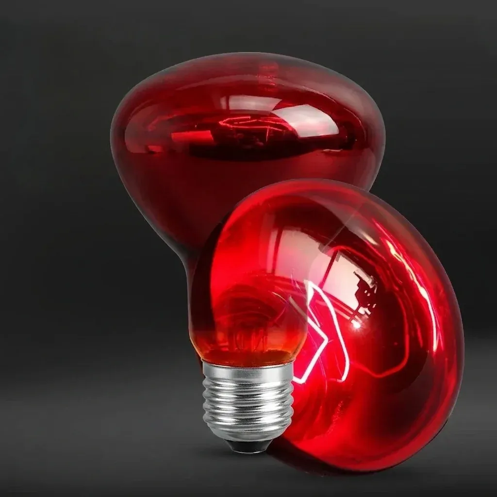 נורת חימום אינפרא אדום אדומה לזוחלים