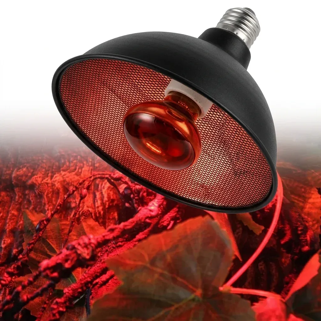 נורת חימום אינפרא אדום לזוחלים